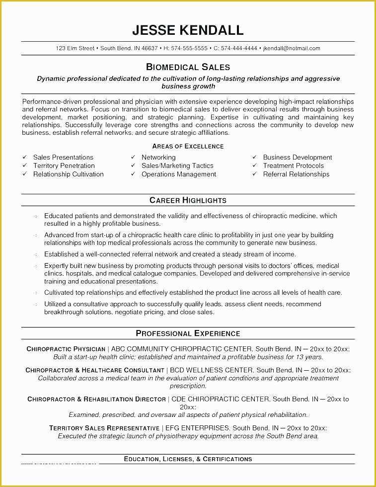 Free Combination Resume Template Of Free Bination Resume Template