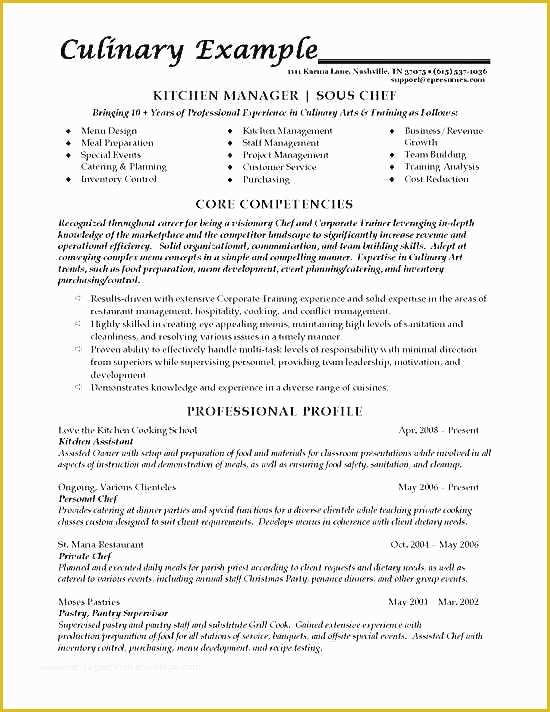 Free Combination Resume Template Word Of Bination Resume Template Word Best Free Download