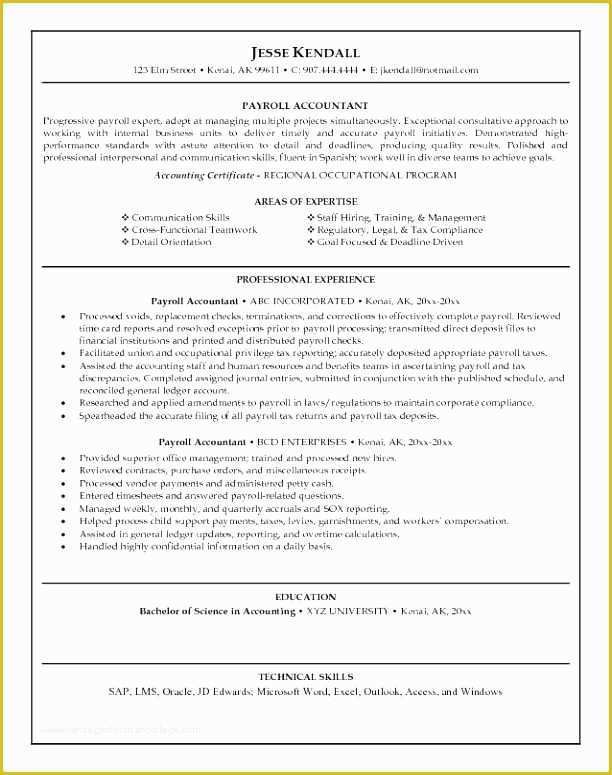 Free Combination Resume Template Word Of Bination Resume Template Word Inspirational Resume