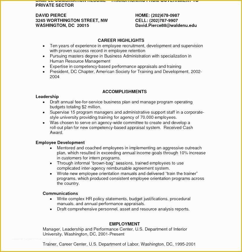 Free Combination Resume Template Word Of Hybrid Resume Examples Hybrid Resume Example Remarkable