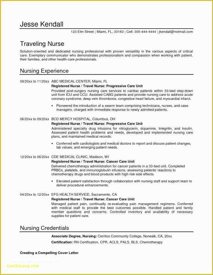Free Combination Resume Template Word Of Resume and Template 63 Free Bination Resume Template