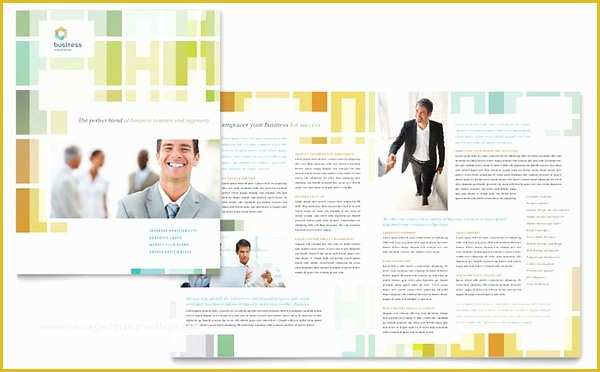 Free Consulting Brochure Template Of 18 Consultant Brochures Templates Free Psd Ai Eps