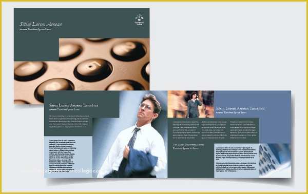 Free Consulting Brochure Template Of Download Consultant Brochures for Free Tidytemplates