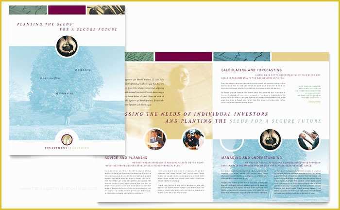 Free Consulting Brochure Template Of Financial Consulting Brochure Template Design