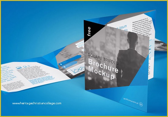 Free Consulting Brochure Template Of Free Consulting Brochure Template Tadlifecare