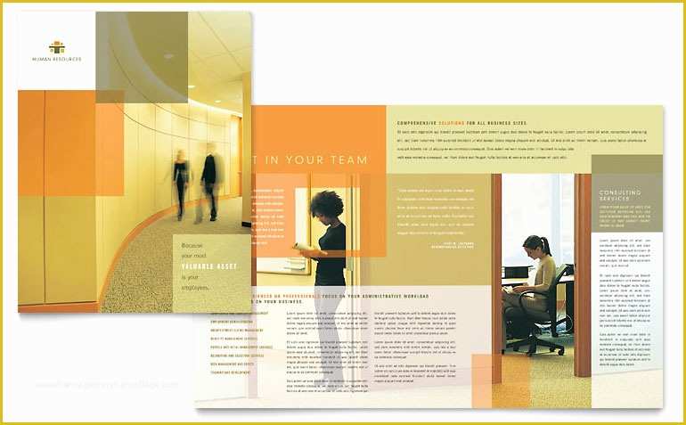 Free Consulting Brochure Template Of Hr Consulting Brochure Template Word &amp; Publisher