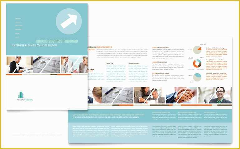 Free Consulting Brochure Template Of Management Consulting Brochure Template Word &amp; Publisher