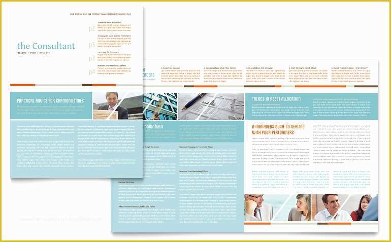 Free Consulting Brochure Template Of Management Consulting Newsletter Template Word & Publisher