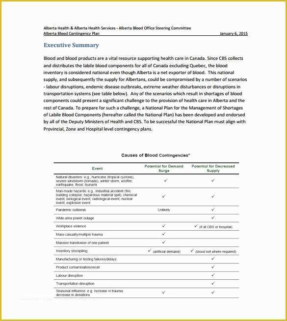 Free Contingency Plan Template Excel Of 10 Contingency Plan Templates