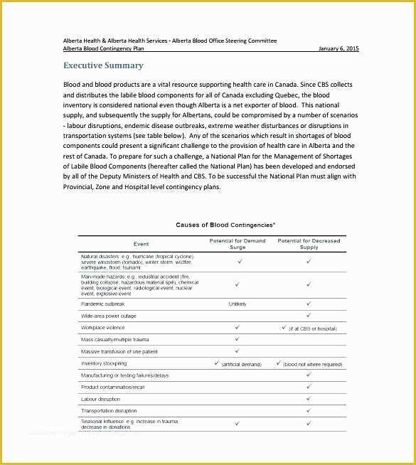 Free Contingency Plan Template Excel Of Contingency Plan Template