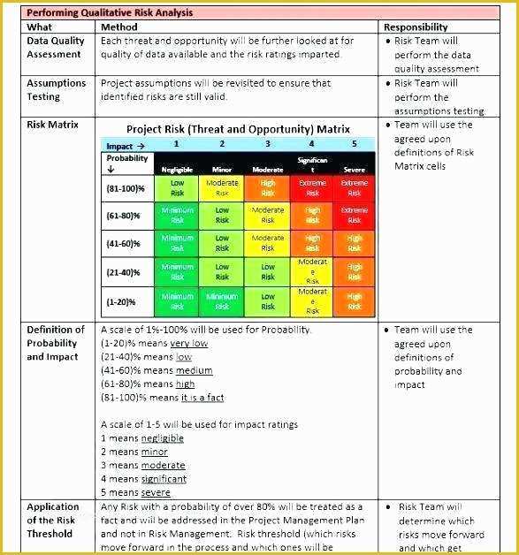 Free Contingency Plan Template Excel Of Risk Management Template Excel Risk assessment Template