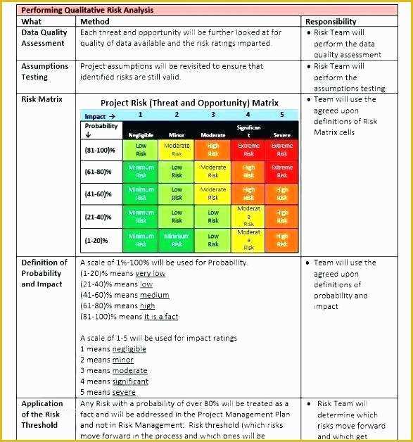 Free Contingency Plan Template Excel Of Risk Management Template Excel Risk assessment Template