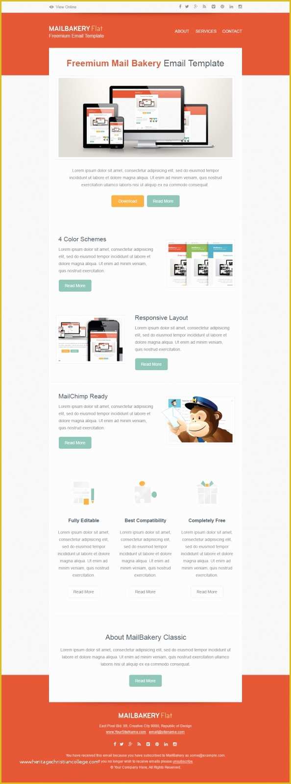 Free Convertkit Email Template Of Free HTML Email Template