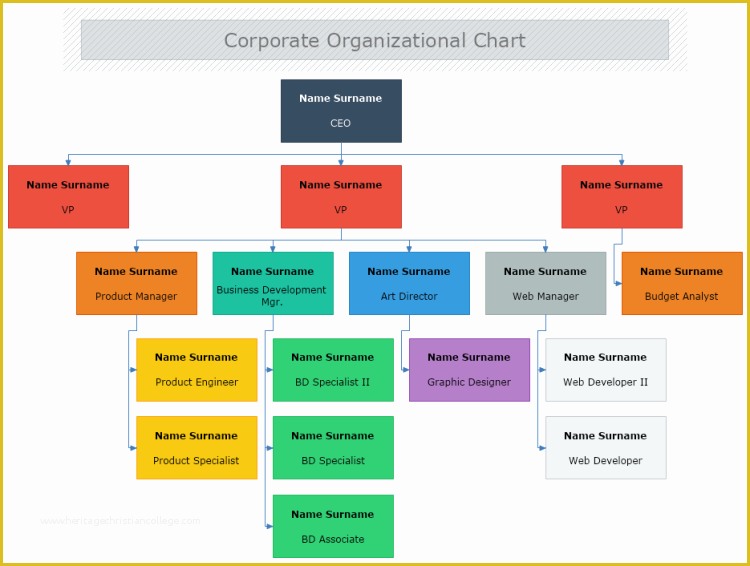 Free Corporate organizational Chart Template Of Vertical org Chart Tree ...