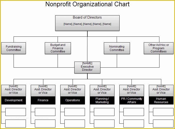 Free Corporate organizational Chart Template Of Free organizational Chart Template Pany organization