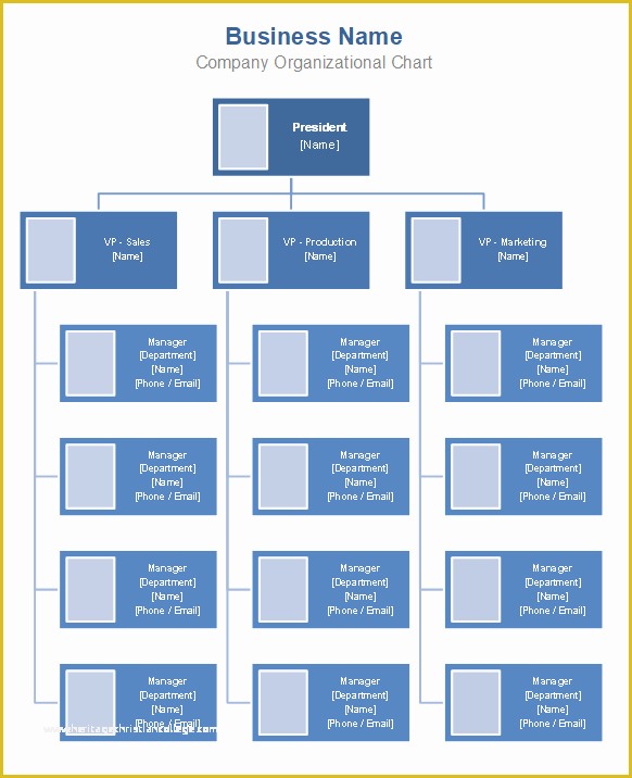 Free Corporate organizational Chart Template Of Free organizational Chart Template Pany organization