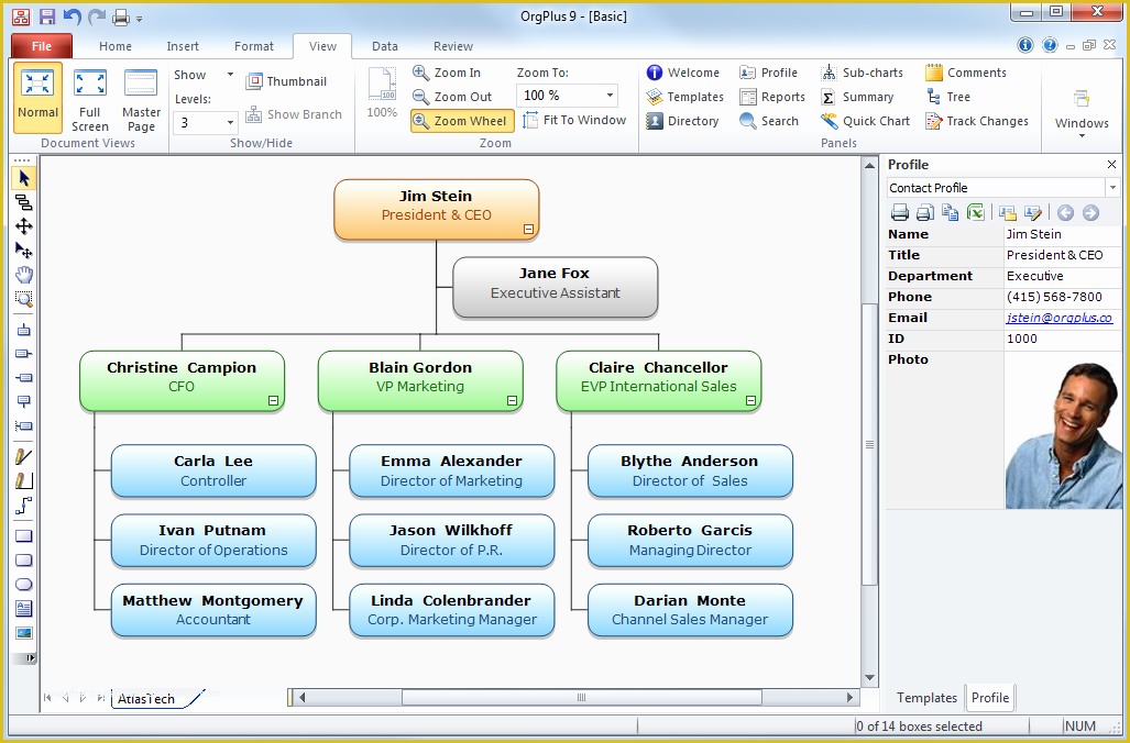 Free Corporate organizational Chart Template Of organizational Chart Template