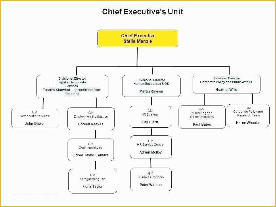 Free Corporate organizational Chart Template Of Project organizational Chart Template Sample organization