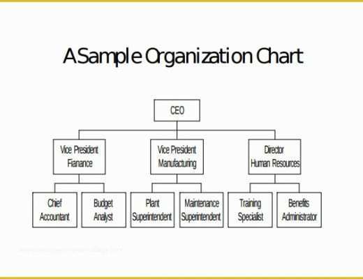 Free Corporate organizational Chart Template Of Sample Blank organizational Chart 8 Documents In Pdf