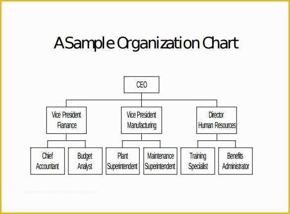 47 Free Corporate organizational Chart Template