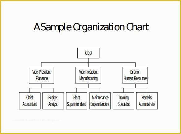 Free Corporate organizational Chart Template Of Sample Blank organizational Chart 8 Documents In Pdf