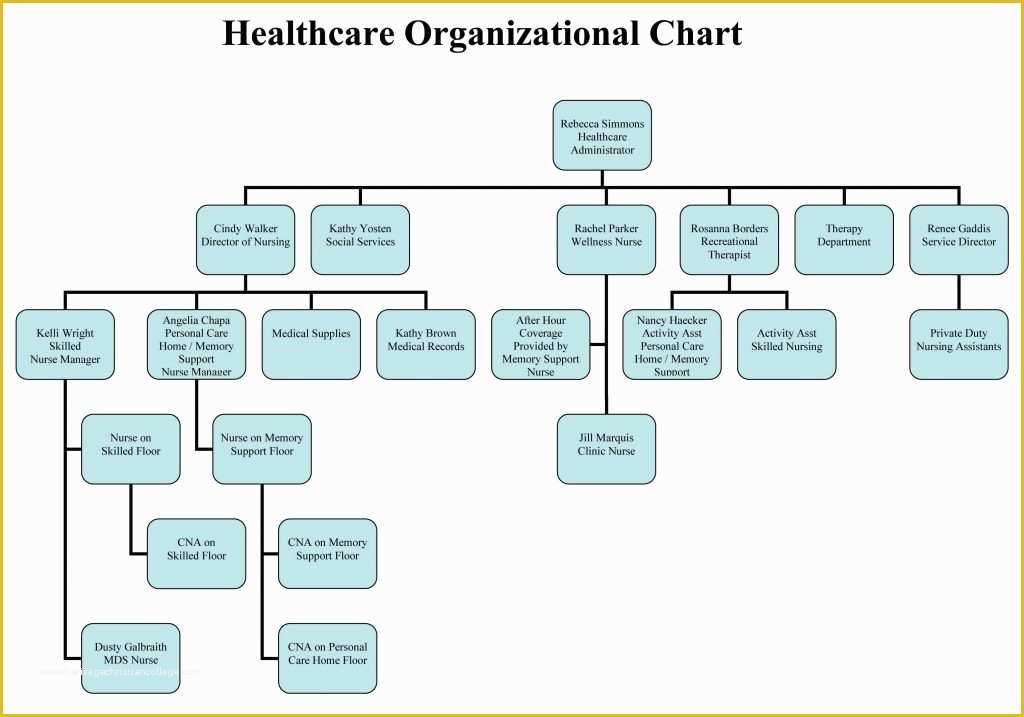 Free Corporate organizational Chart Template Of Small Business organizational Chart Template Free