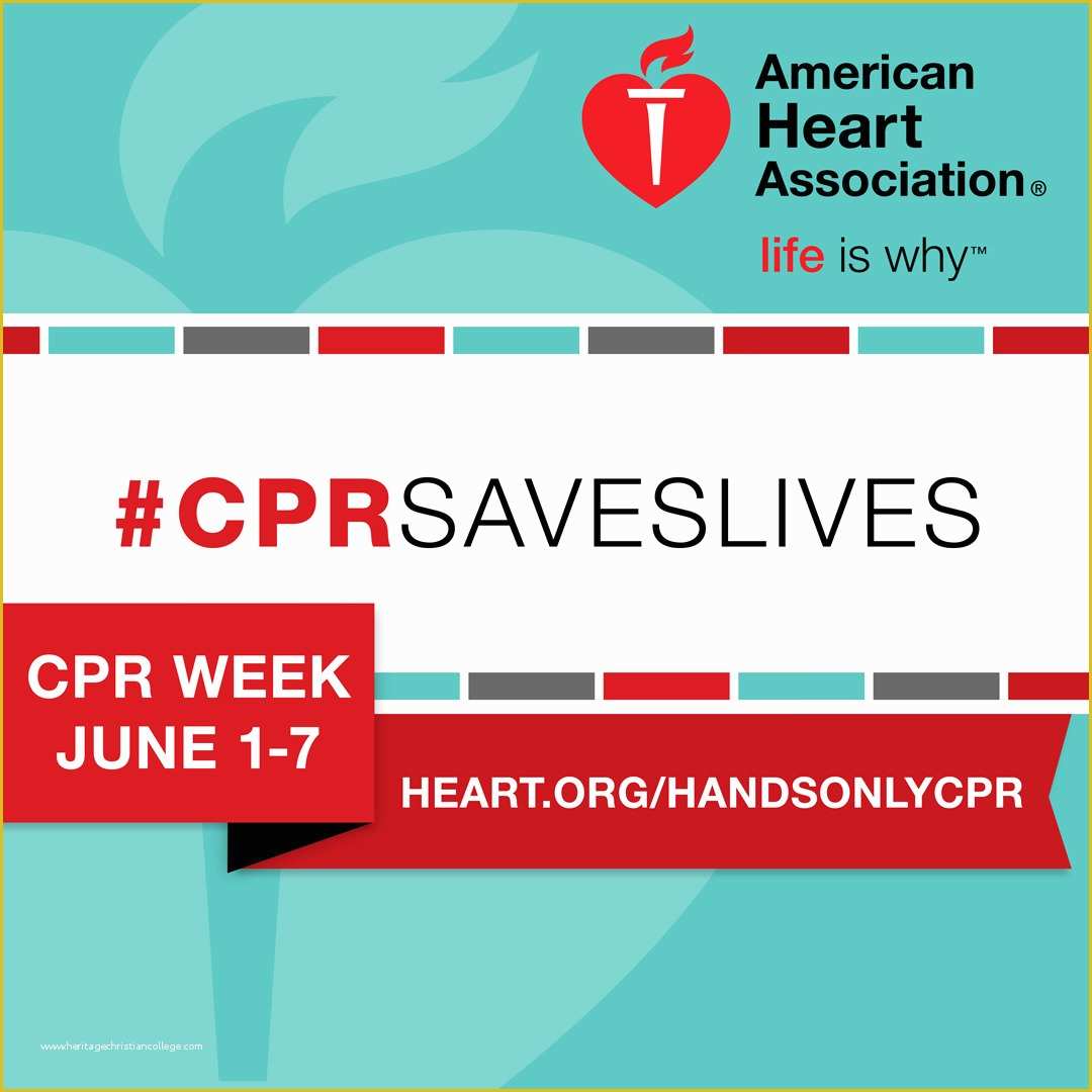 Free Cpr Card Template Of American Heart association Cpr Card Printing Template and