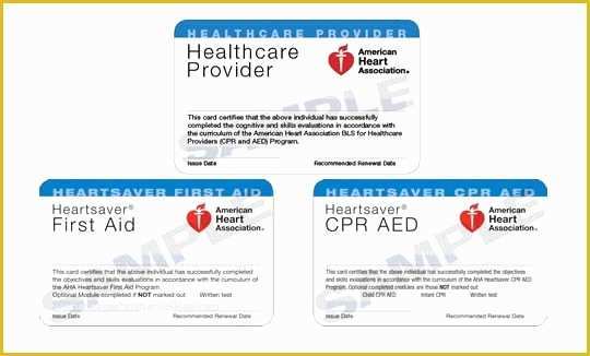 Free Cpr Card Template Of Bls Cpr Card Template Five Quick Tips Regarding Bls Cpr