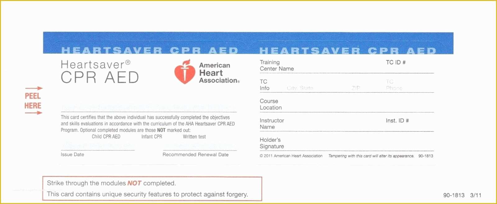 Free Cpr Card Template Of Bls Cpr Card Template Five Quick Tips Regarding Bls Cpr