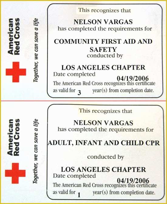45 Free Cpr Card Template Heritagechristiancollege