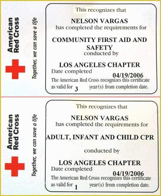 fake-printable-cpr-certification-card-printable-world-holiday