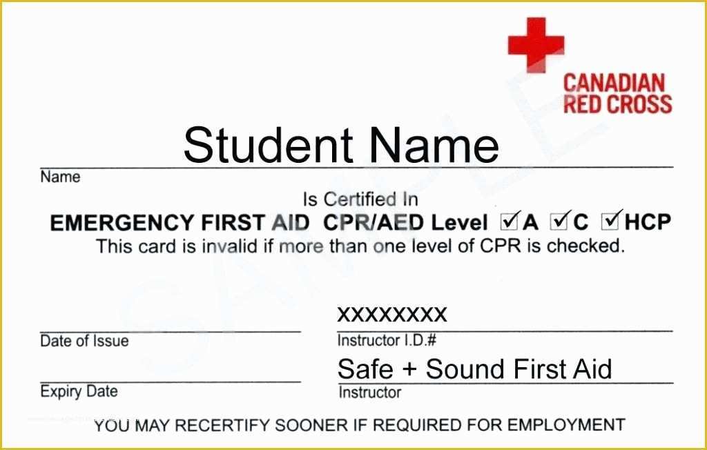 Free Cpr Card Template Of First Aid Certificate Template Image – Free Line First