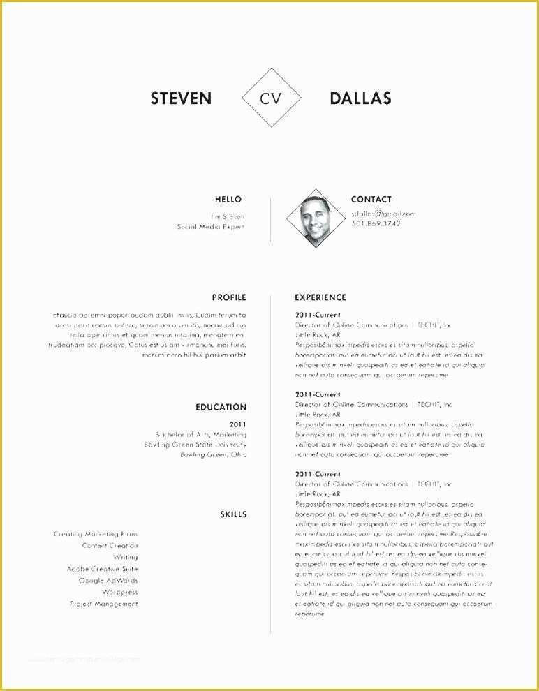 Free Creative Resume Template Doc Of Free Creative Resume Template Doc Resume Example