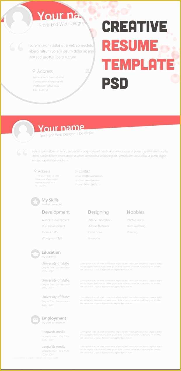 Free Creative Resume Templates Pdf Of Free Creative Resume Templates