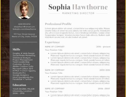 Free Creative Resume Templates Word Of Professional Resume Template with Modern Cv Word