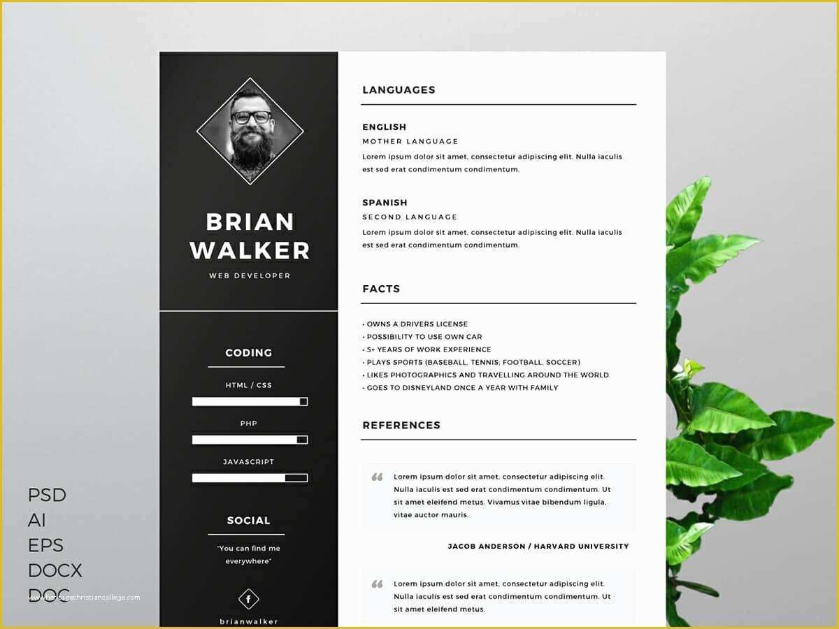 Free Creative Resume Templates Word Of Resume Templates for Word Free 15 Examples for Download