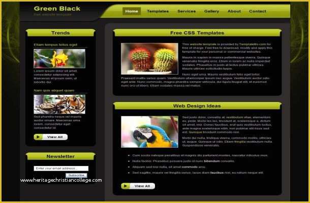 Free Css Web Templates Of Free Dark Green Black Css HTML Website Template