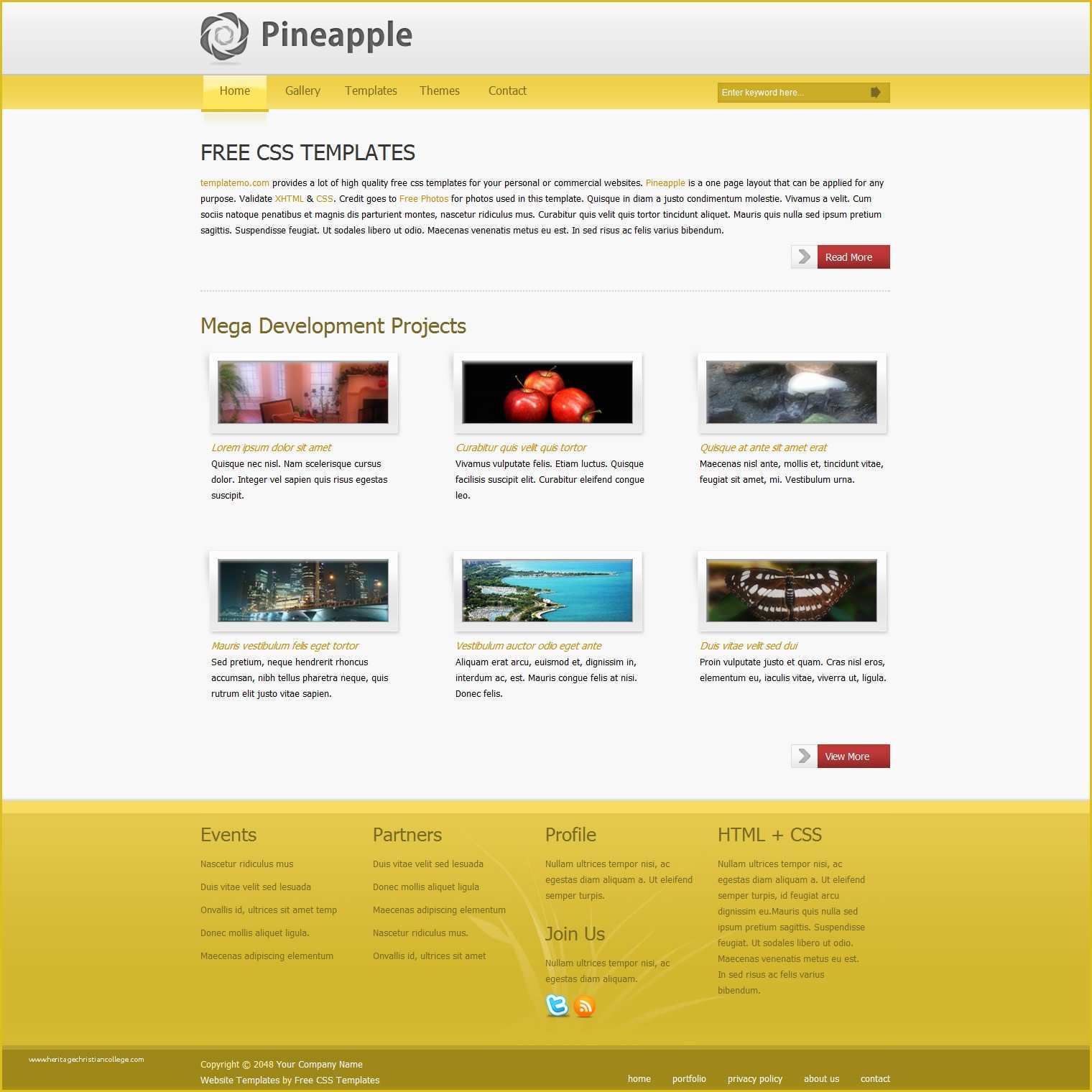 Free Css Web Templates Of Template 269 Pineapple