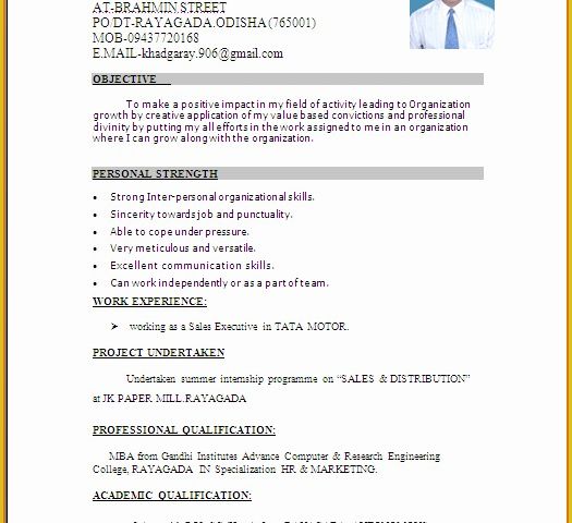 Free Current Resume Templates Of Microsoft Word Template Cv Salonbeautyform