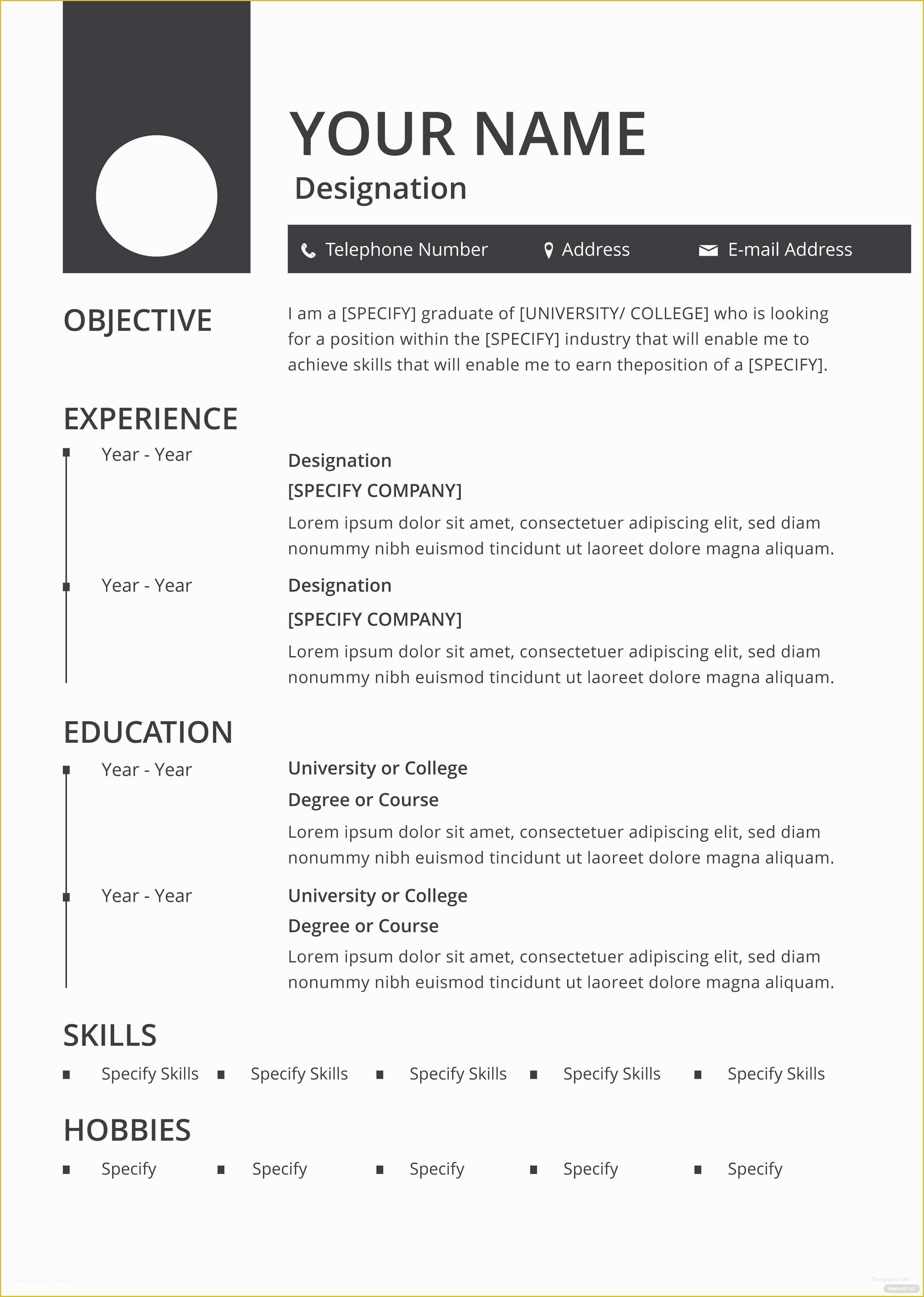Free Cv Template Of Free Blank Resume and Cv Template In Adobe Shop