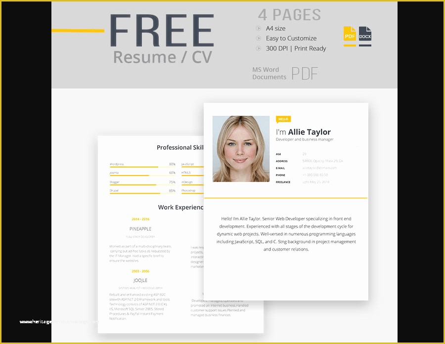 Free Cv Template Word Of 65 Eye Catching Cv Templates for Ms Word