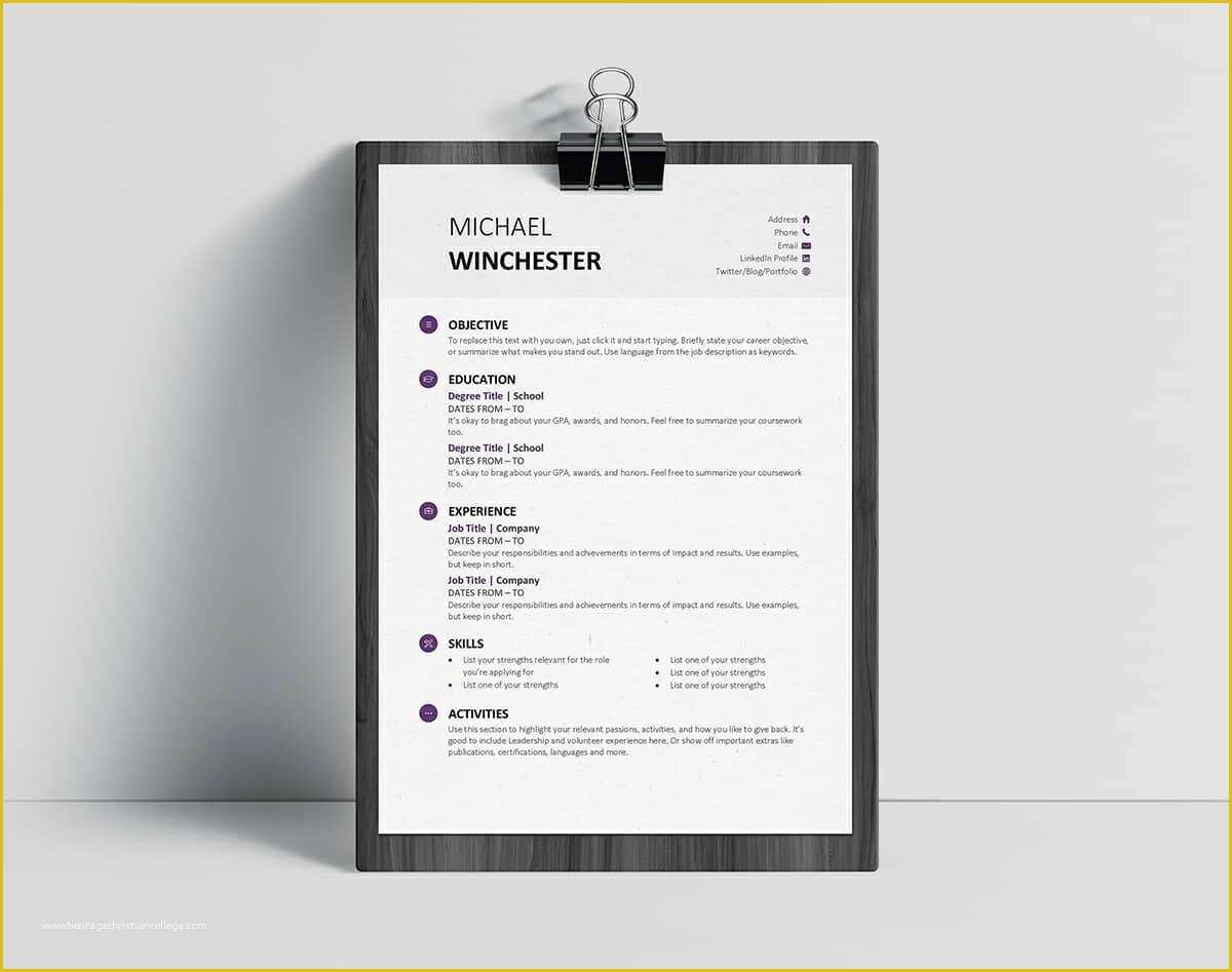 Free Cv Template Word Of Resume Templates for Word Free 15 Examples for Download