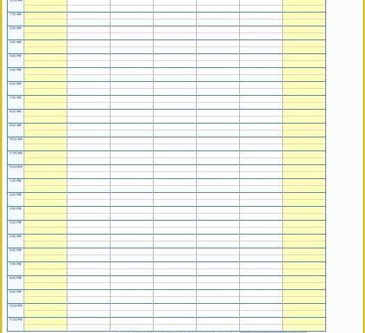Free Daily Schedule Template Of 17 Perfect Daily Work Schedule Templates Template Lab