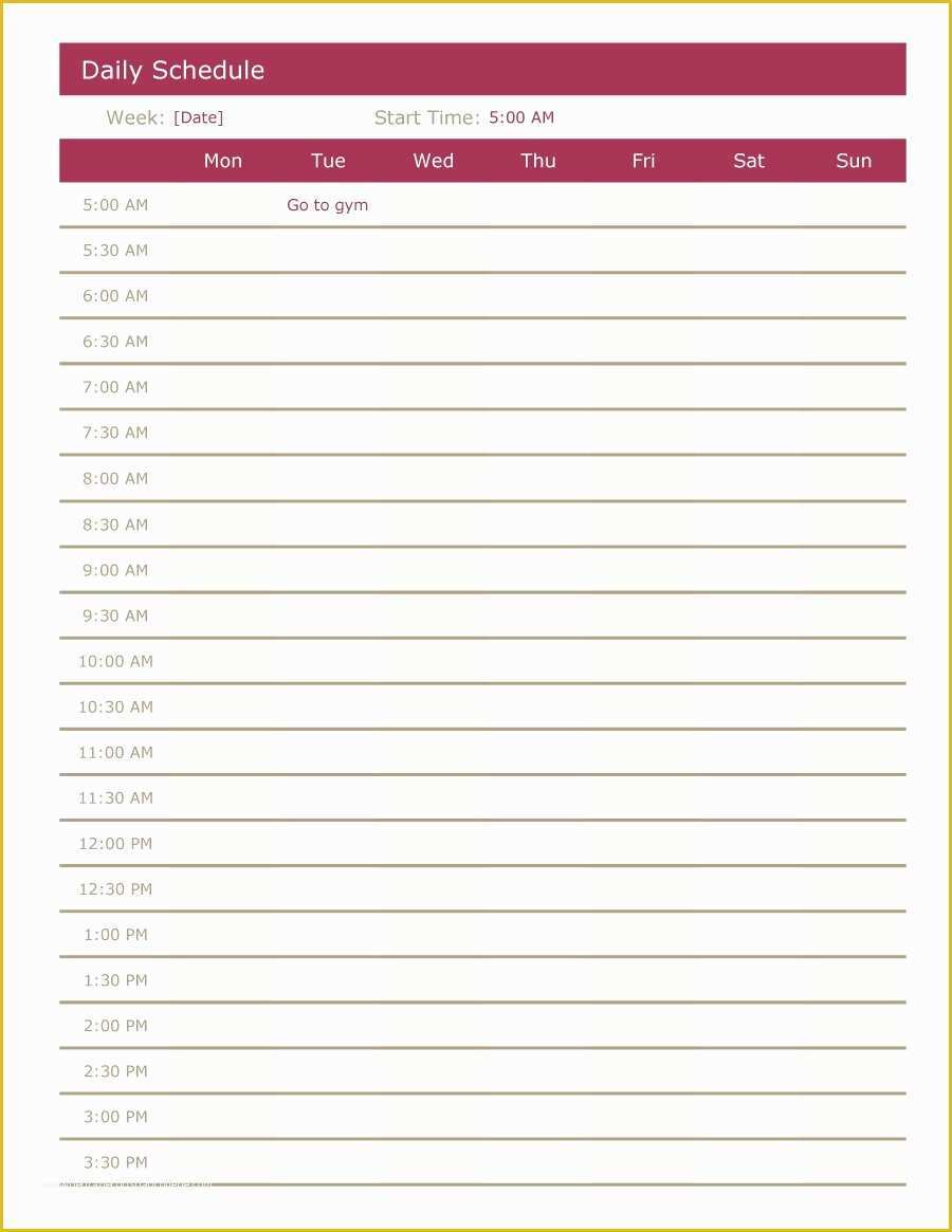 Free Daily Schedule Template Of 40 Printable Daily Planner Templates Free Template Lab