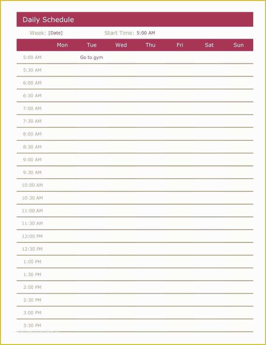 Free Daily Schedule Template Of 40 Printable Daily Planner Templates ...