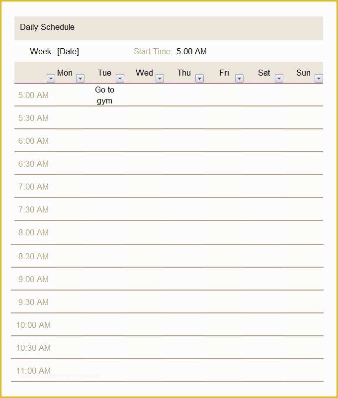 Free Daily Schedule Template Of Daily Schedule Template 5 Free Word Excel Pdf
