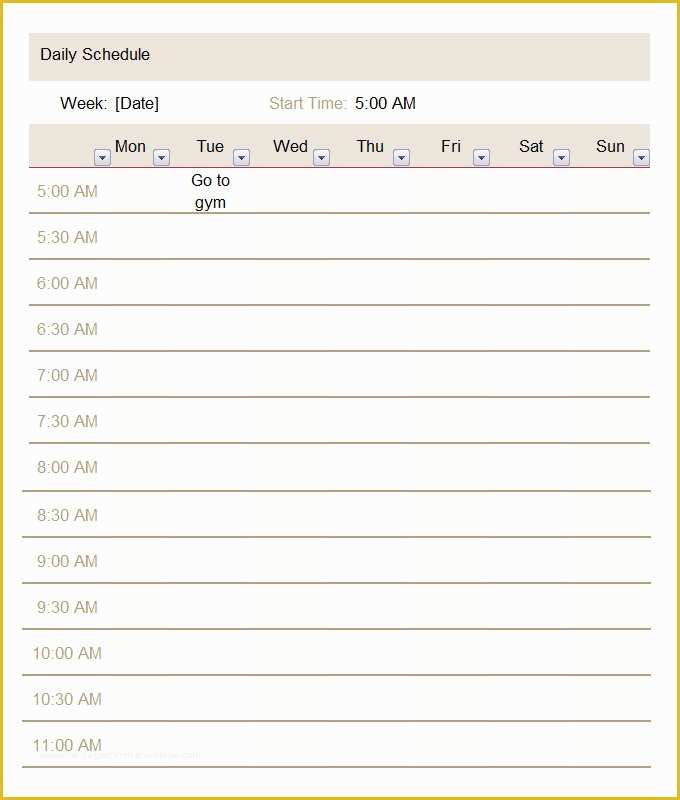 Free Daily Schedule Template Of Daily Schedule Template 5 Free Word Excel Pdf