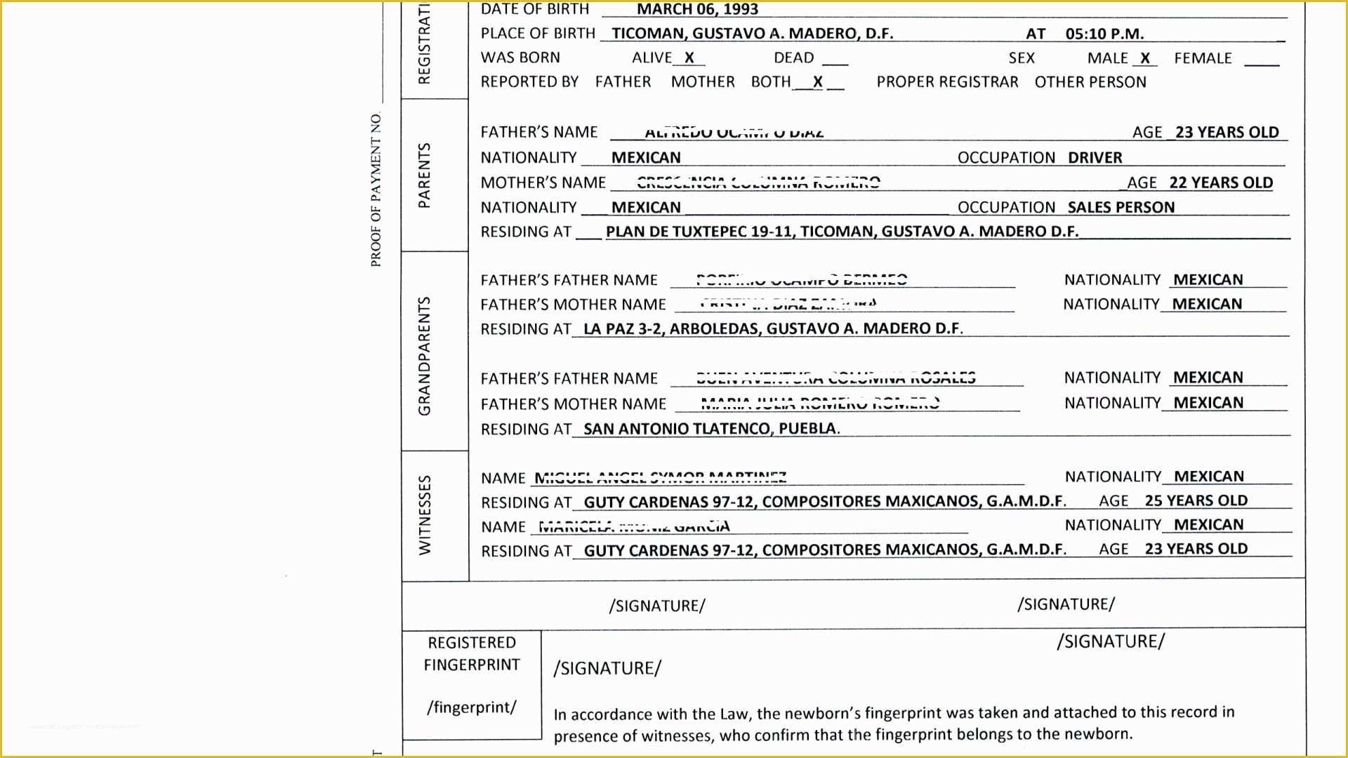 Free Death Certificate Translation Template Of Mexican Birth Certificate Translation Template Pdf Free