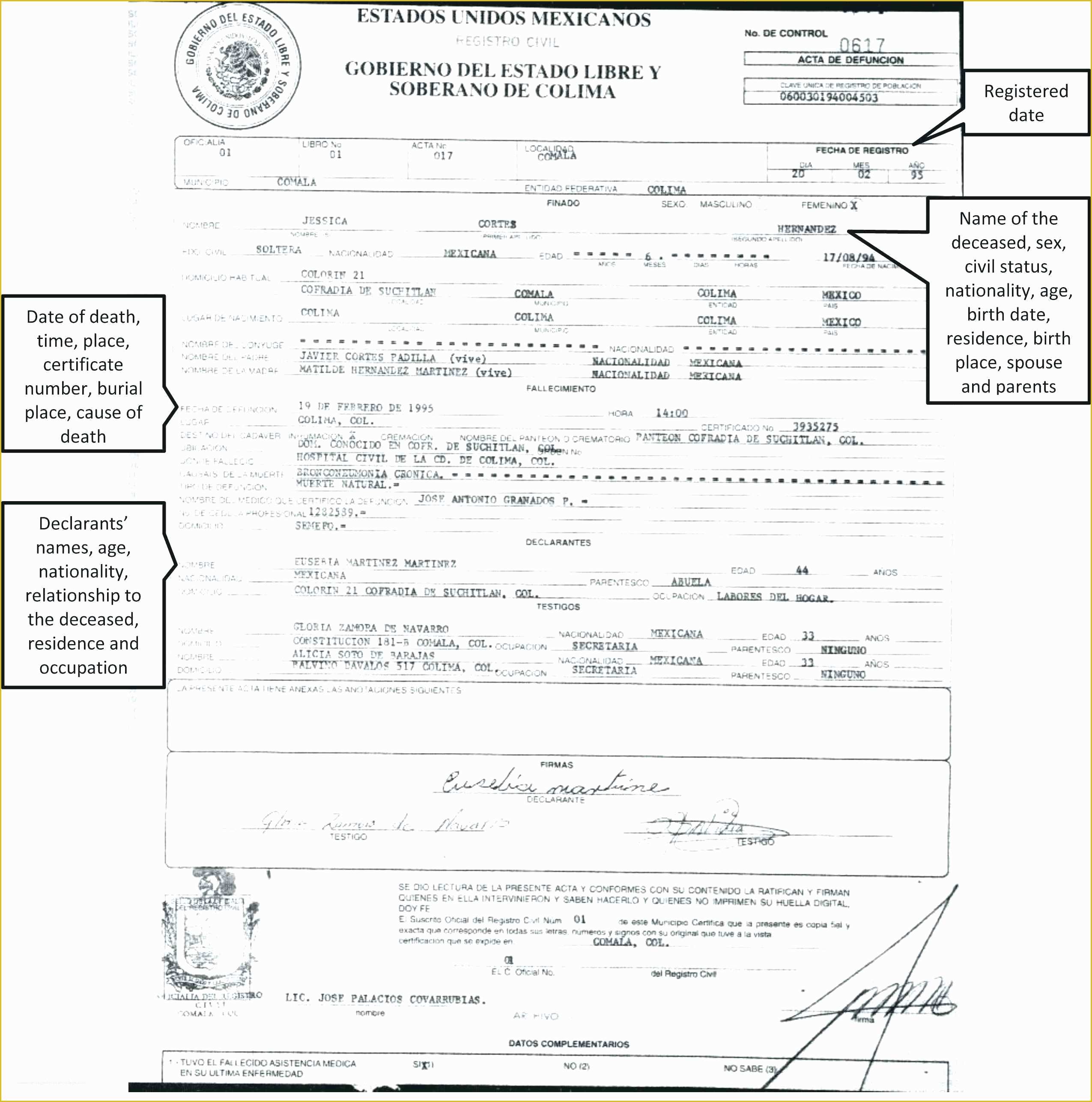 Free Death Certificate Translation Template Of Mexican Divorce Certificate Translation Template Sample