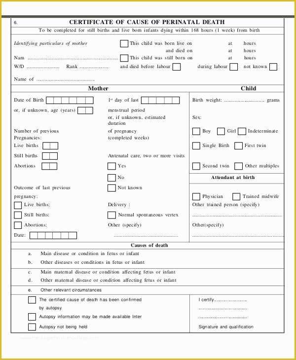 Free Death Certificate Translation Template Of Sample Certificates Idealstalist